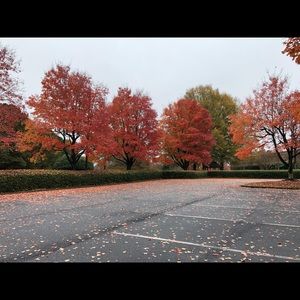 Meet your Posher, Ankita